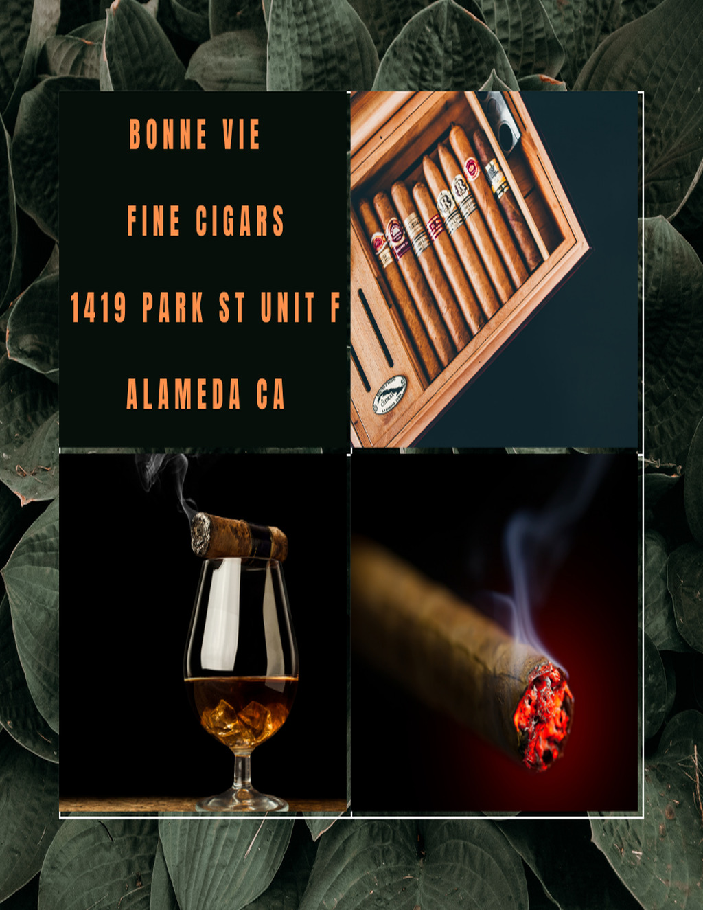 Park Street Plaza Experience the Finest Cigars at Bonne Vie promotion flier on Digifli com