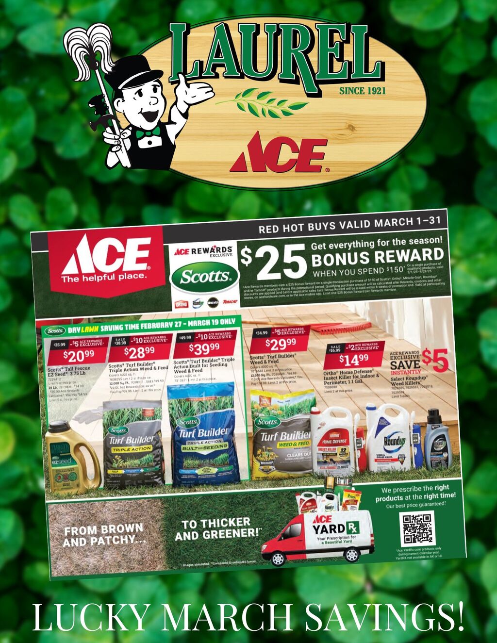 Laurel Ace Hardware Spring into Savings at Laurel ACE in Oakland  promotion flier on Digifli com