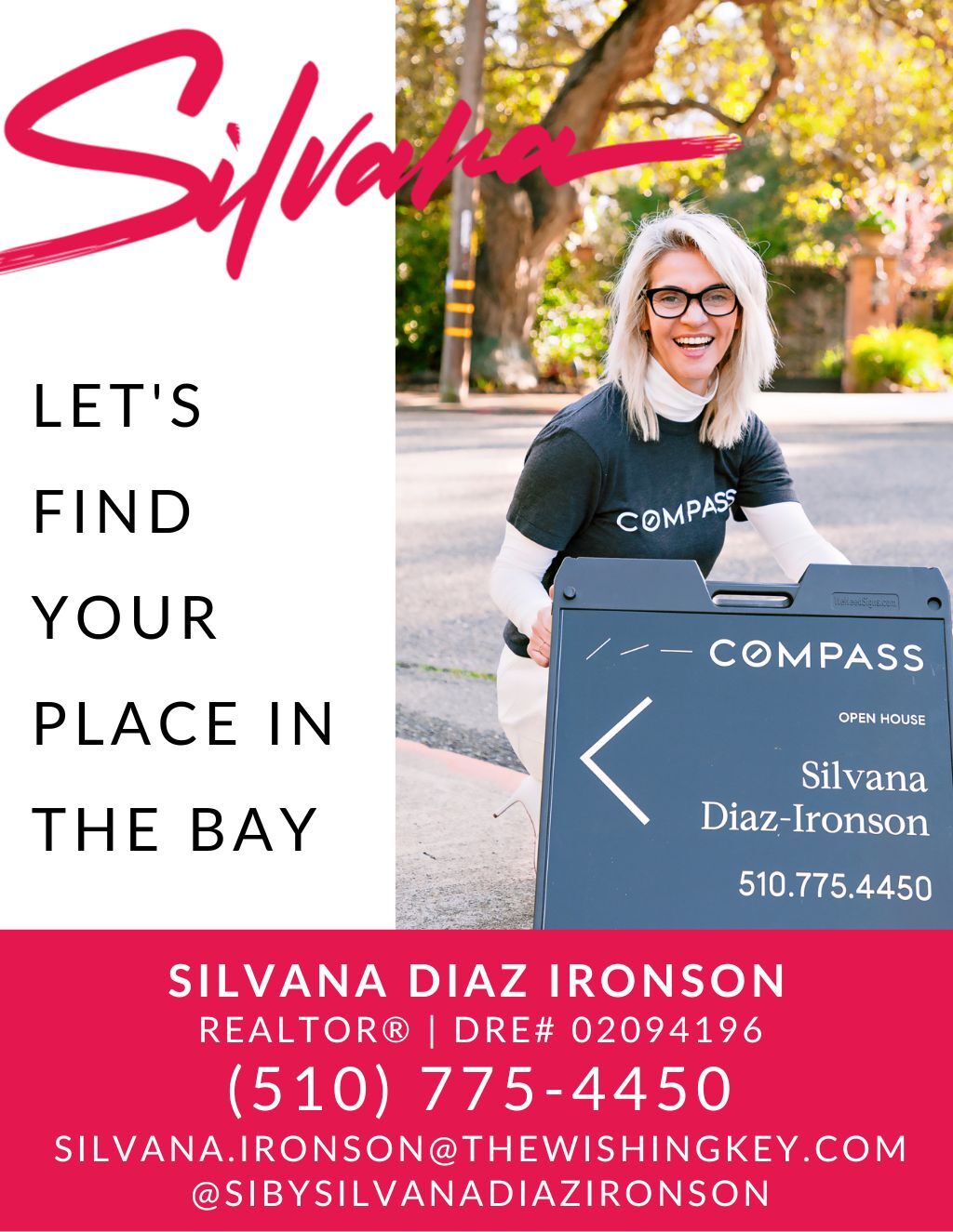  Silvana Diaz Ironson  ACE in Open Realty promotion flier on Digifli com