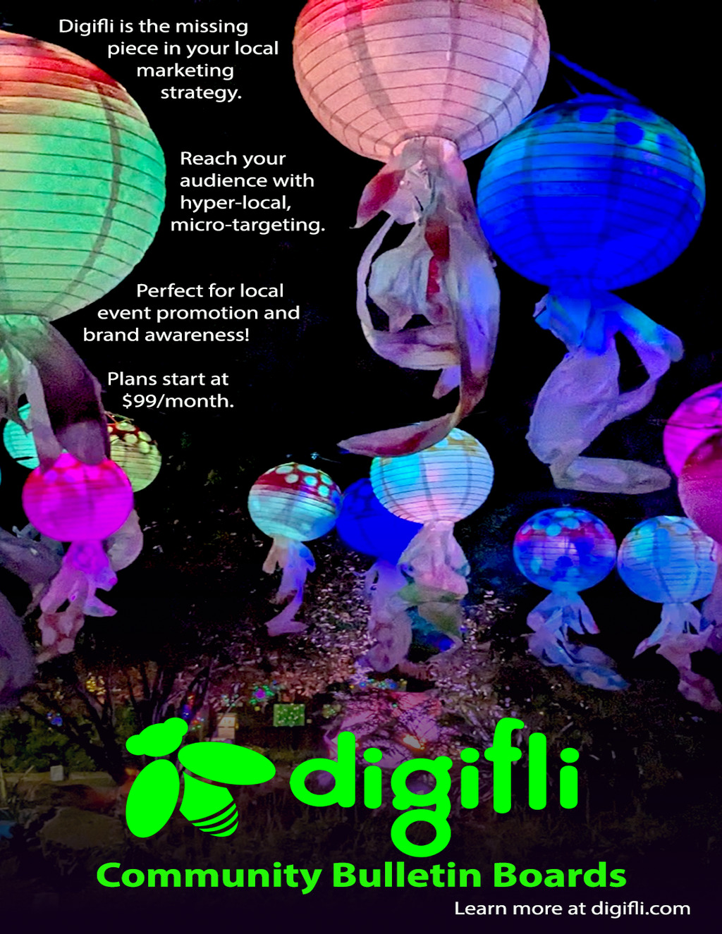 Digifli Community Bulletin Boards Event Promotion with Digifli promotion flier on Digifli com