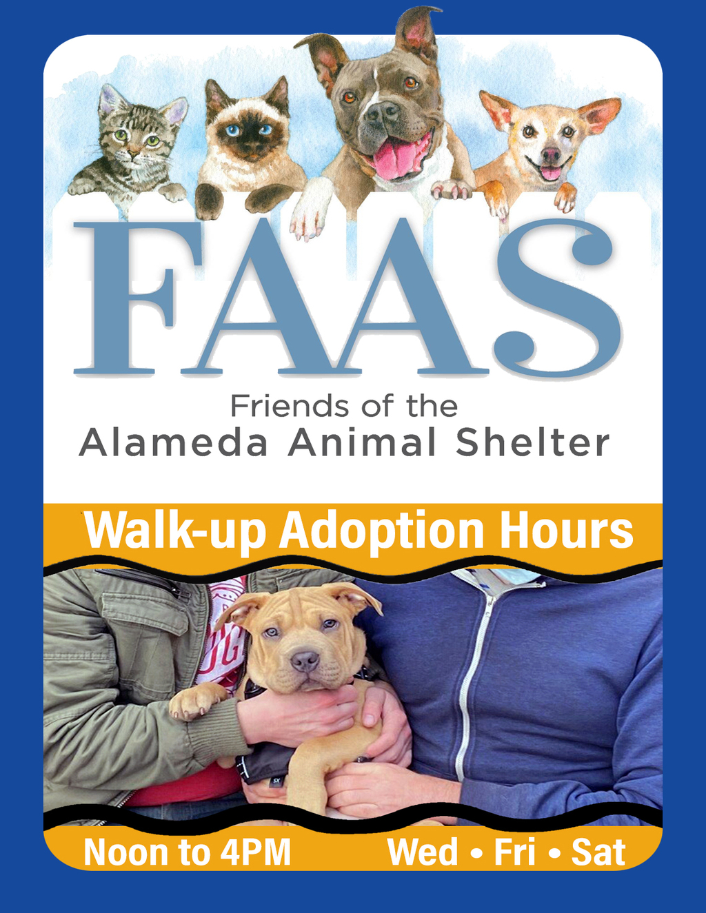 Digifli Community Bulletin Boards FAAS Walk up Adoption Hours promotion flier on Digifli com